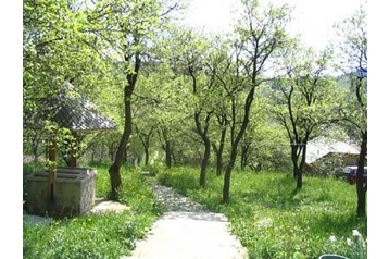 Rumānija Privát Almaş, Eksterjers